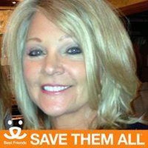 Cheryl Cohen - Individual - United States - StageLync