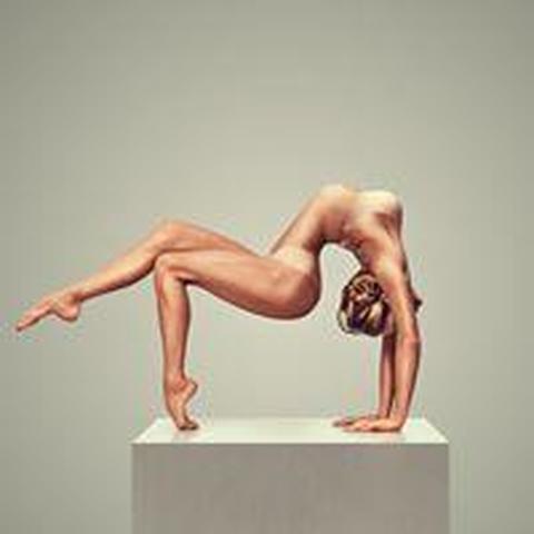 Aerial Muse Collective - Company - United States - StageLync