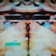 Circus Of Contemporary Art - Company - Netherlands - StageLync