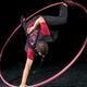 Paul Perreault - Individual - Canada - StageLync