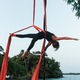 Katie Mitchell - Individual - United Kingdom - StageLync