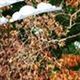 Nomvula Greeninglady - Individual - Italy, South Africa - StageLync