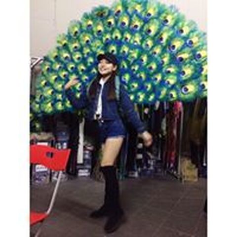 Nomin Erdene - Individual - Mongolia - StageLync