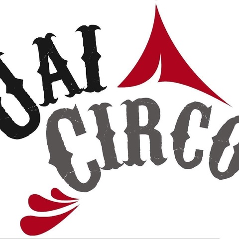 Uai Circo - School - Brazil - StageLync