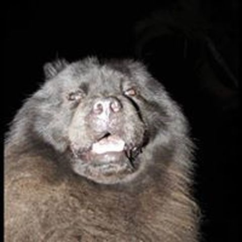 Françoise Moreto Marcos - Individual - Brazil - StageLync