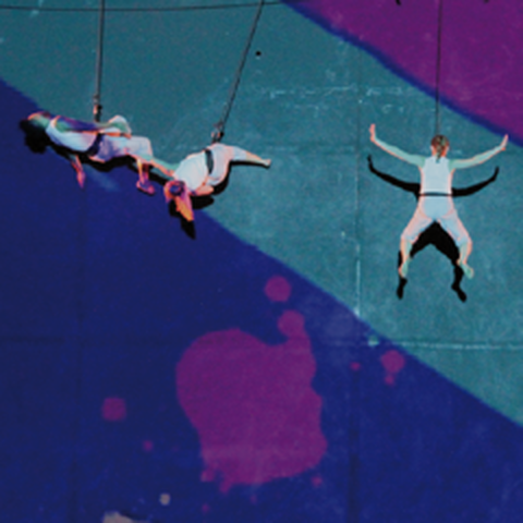 Brenda Angiel Aerial Dance company - Company - Argentina - StageLync