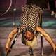 Aggeliki Deligianni - Individual - Greece - StageLync