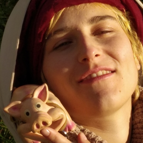 DeLaJDa DiDi SoLiN - Individual - Slovenia - StageLync