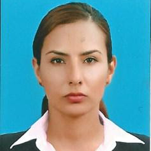 Johana Antolinez Diaz - Individual - Colombia - StageLync