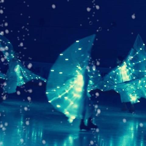 ice creation - Company - Belgium - StageLync