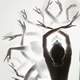 Fusion de cabaret - Company - Ukraine - StageLync