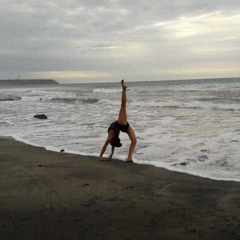 Francis Vargas - Individual - Ecuador - StageLync