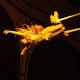 Hannah Trapeze Griffith - Individual - United States - StageLync