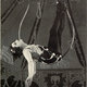 Alexandra Royer - Individual - Canada, France - StageLync