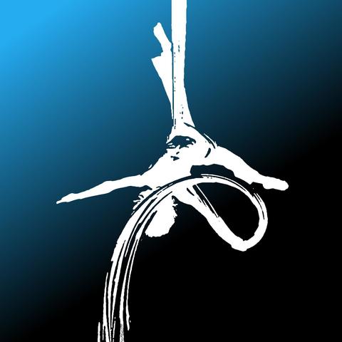 Mendocino Center for Circus Arts - CircusMecca - School - United States - StageLync