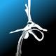 Mendocino Center for Circus Arts - CircusMecca - School - United States - StageLync