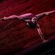 Nata Ibragimov - Individual - Azerbaijan, Russia, United States - StageLync