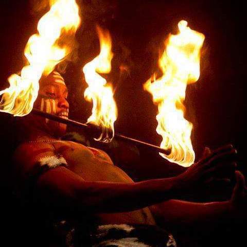Safari Acrobatic Show - Individual - Australia - StageLync