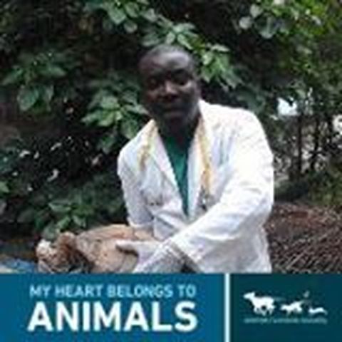 Richard Klottey Botchway - Individual - Ghana - StageLync