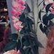 Sarah Weddle - Individual - United Kingdom - StageLync