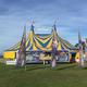 Flaming Phoenix Entertainment Ltd - Company - New Zealand - StageLync