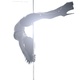 Tara Lavalley - Individual - United States - StageLync