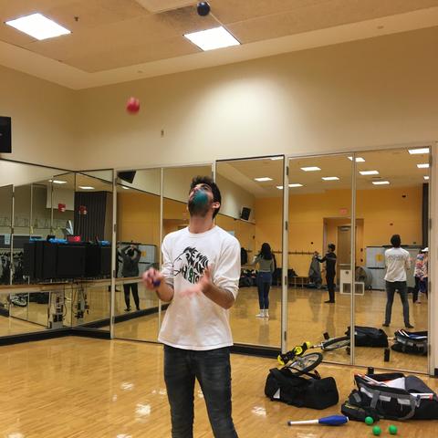 Ariel Shaked - Individual - Israel, United States - StageLync