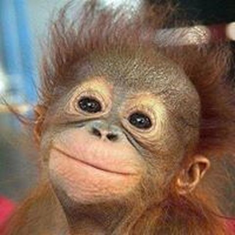 Ja Bond - Individual - Chile - StageLync