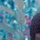 Neimyiah Whittley - Individual - United States - StageLync