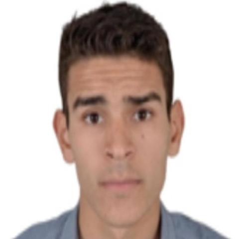 hamza oumansour - Individual - Morocco - StageLync