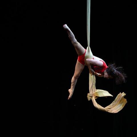 Celeste Di Gennaro - Individual - Argentina - StageLync
