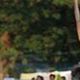 piglet circus - Company - Germany - StageLync
