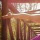 Sara Gray - Individual - United States - StageLync