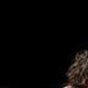 Em Zuckerman - Individual - France, United States - StageLync