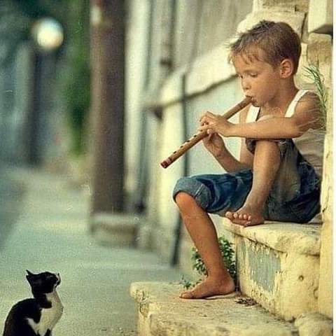 MAHESHKUMAR J PATEL - Individual - India - StageLync