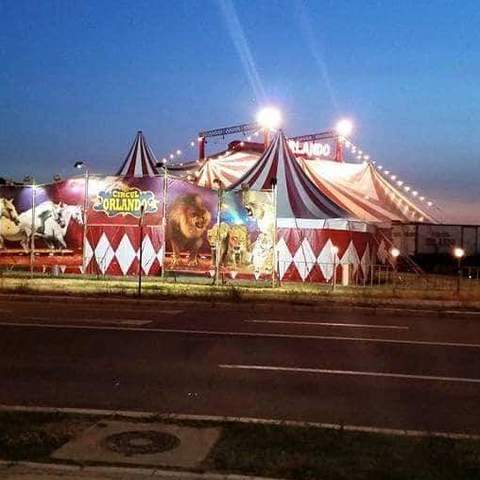 Circul Orlando - Company - Romania - StageLync