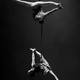 Duo Requiem - Company - Colombia - StageLync