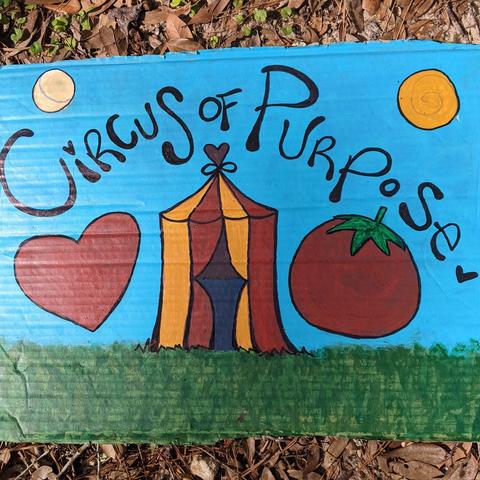 Circus of Purpose - Organization - United States - StageLync