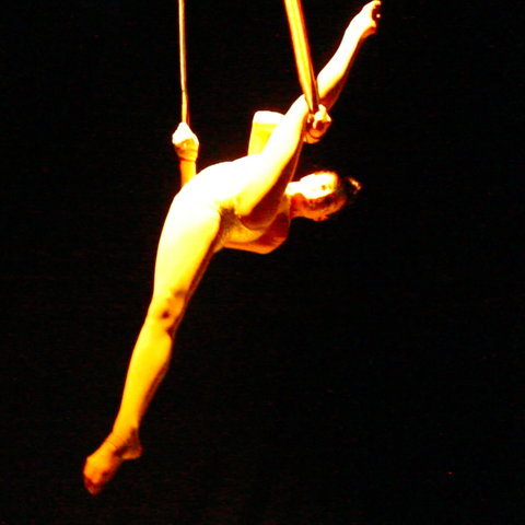 Elise Jaworowski - Individual - Australia - StageLync