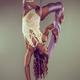 April Ward - Individual - United Kingdom - StageLync
