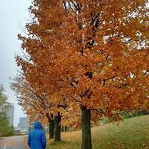 Charlie Brown - Individual - Chile - StageLync