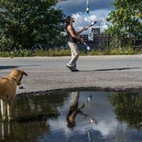 Lucas Viento - Individual - Brazil - StageLync