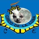 Circo de la Luna - School - Brazil - StageLync