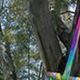 Clau Peredo - Individual - Bolivia - StageLync