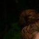 Ashlee Lovebox - Individual - Bulgaria, United Kingdom - StageLync