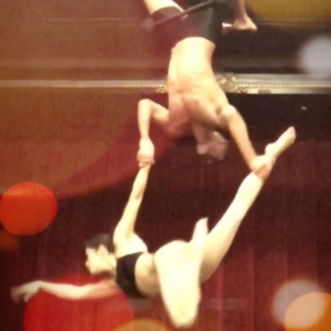 Priscilla Mesley - Individual - United States - StageLync