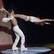 Holler Zavatta - Individual - Spain - StageLync