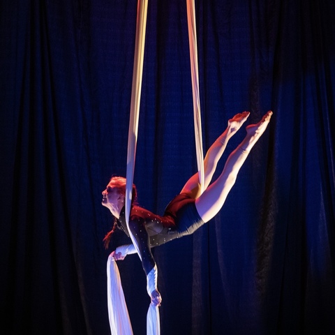 Whitney Tice - Individual - United States - StageLync