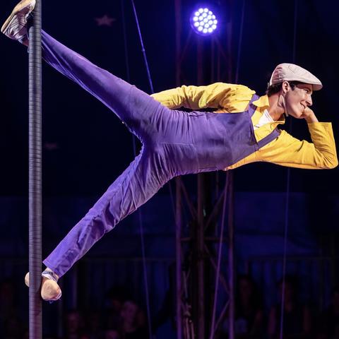 Miki Hertog-Raz - Individual - United States - StageLync