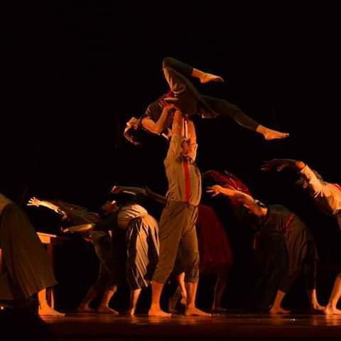 Sofía Benavides - Individual - Colombia - StageLync